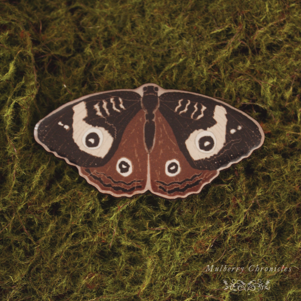 Forest Moth